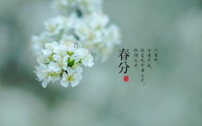 今日春分：春分节气来了解关于春分的由来