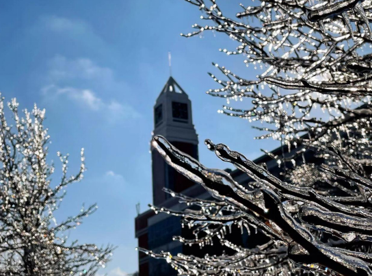 念奴娇 冬初雪