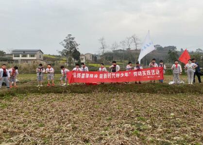岳池县南街小学校举行劳动实践活动