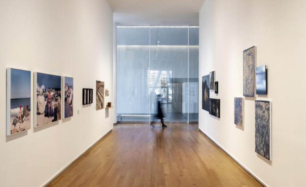 “平移——自然的语境” 第六届深圳国际摄影大展南山区平行展开展