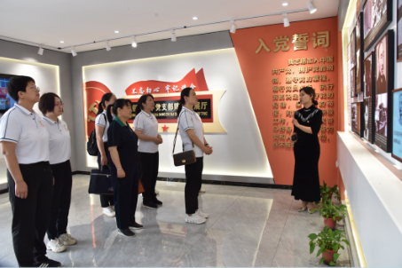 双峰县妇联的这场主题党日活动走“心”又走“实”