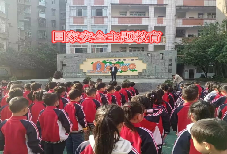 岳池县南街小学校开展安全教育日主题教育活动